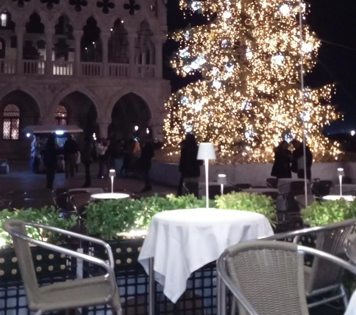 Biennale Bed & Breakfast Venice
